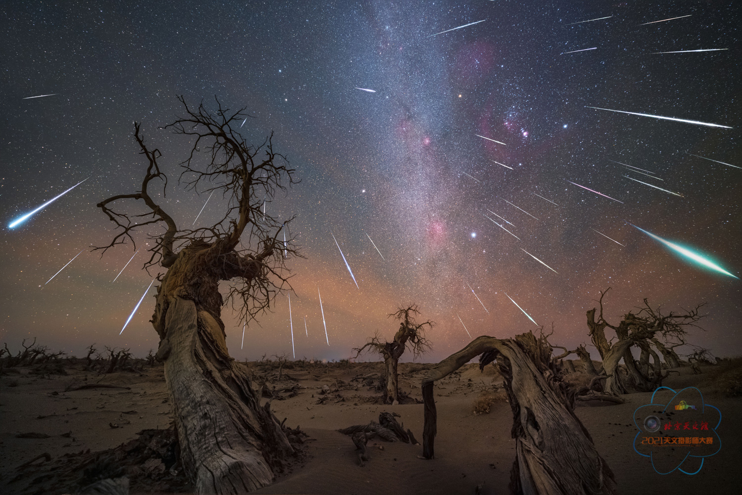 图3. 董书畅-壮丽的特殊天象-流星雨-怪树林双子座流星雨.jpg