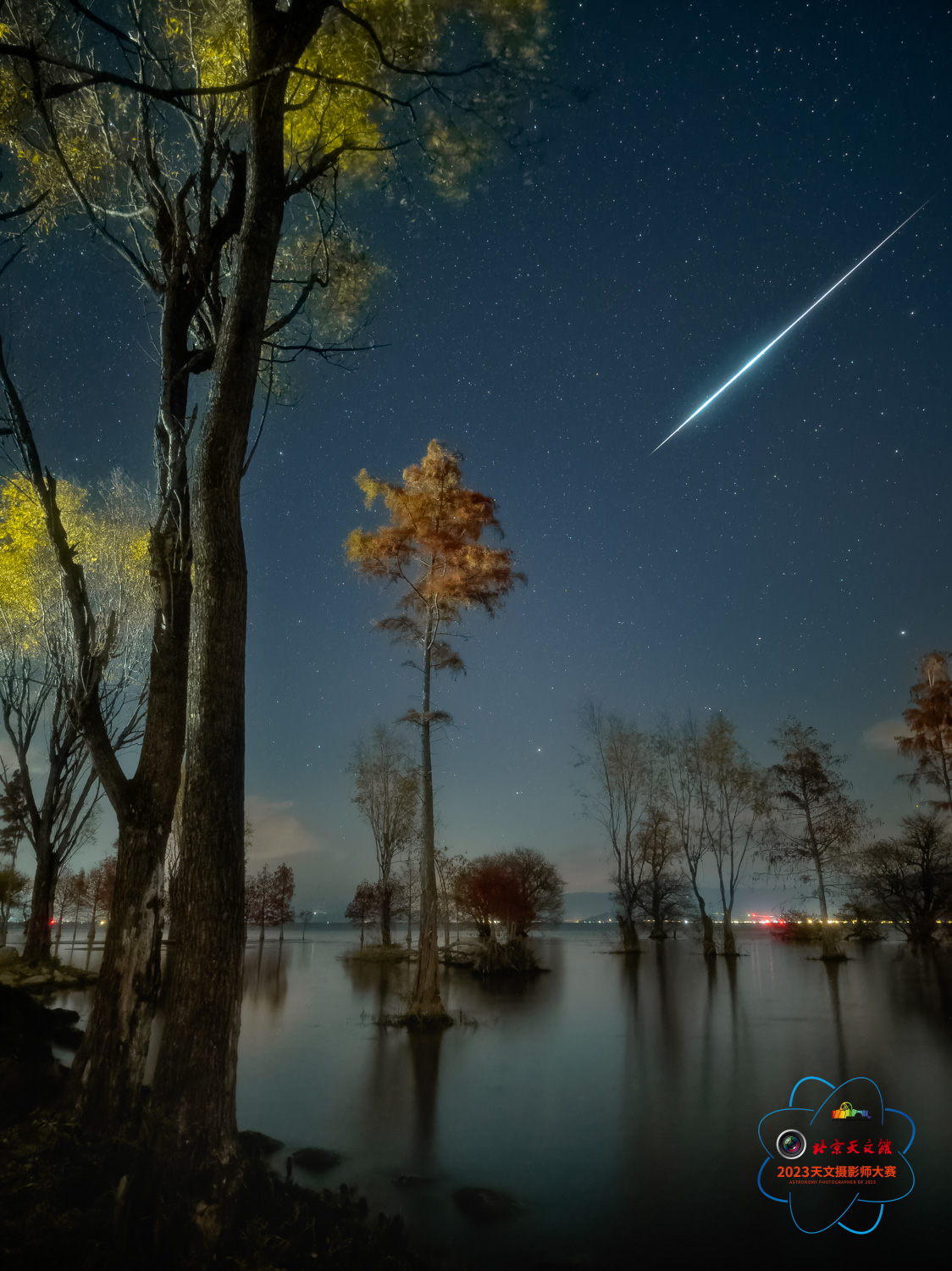 图6.韦文俊-手机天文摄影单元-流星雨-洱海边的双子座流星雨.jpg