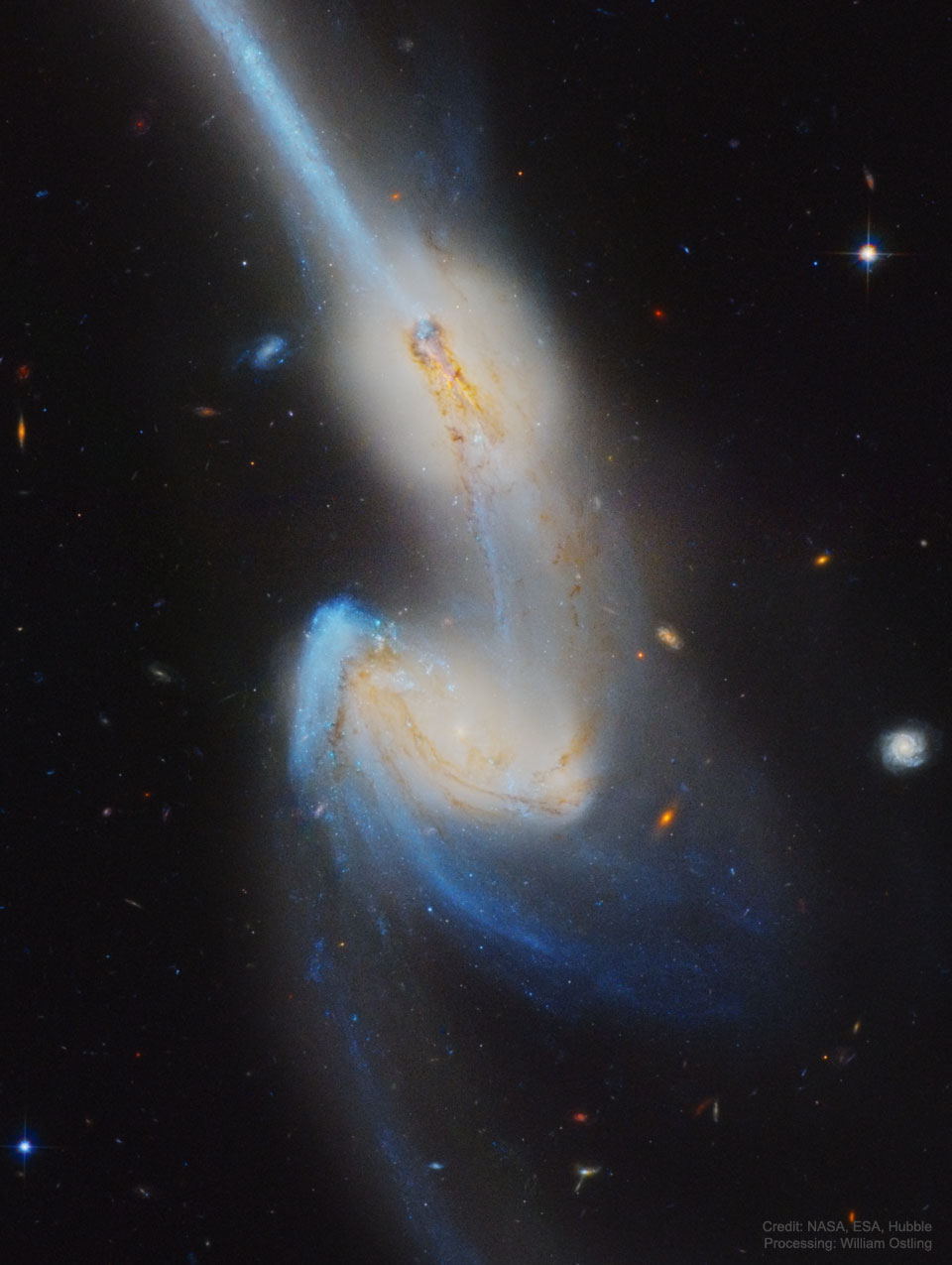 待译-APOD20211004-NGC4676_HubbleOstling_960.jpg