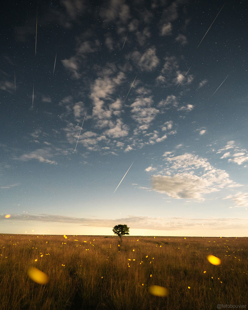 待译-APOD20211216-geminids_2021_fefo_bouvier1024.jpg