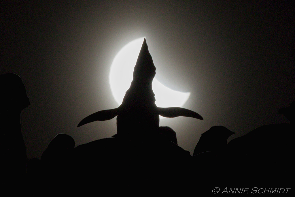 待译-APOD20220107-eclipse_EV1024.jpg