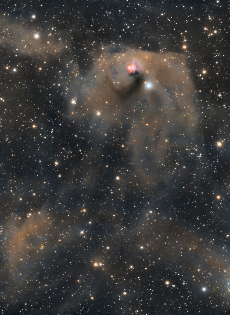 待译-APOD20220210-NGC1555texas2021_1094.jpg