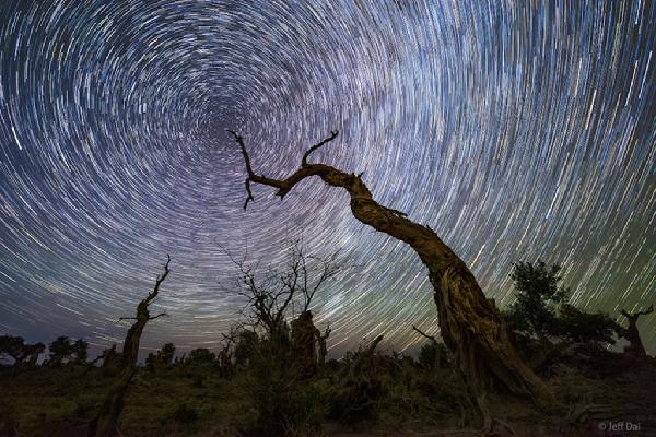 待译-APOD20220728-AncientTreeNCP_Dai1024.jpg