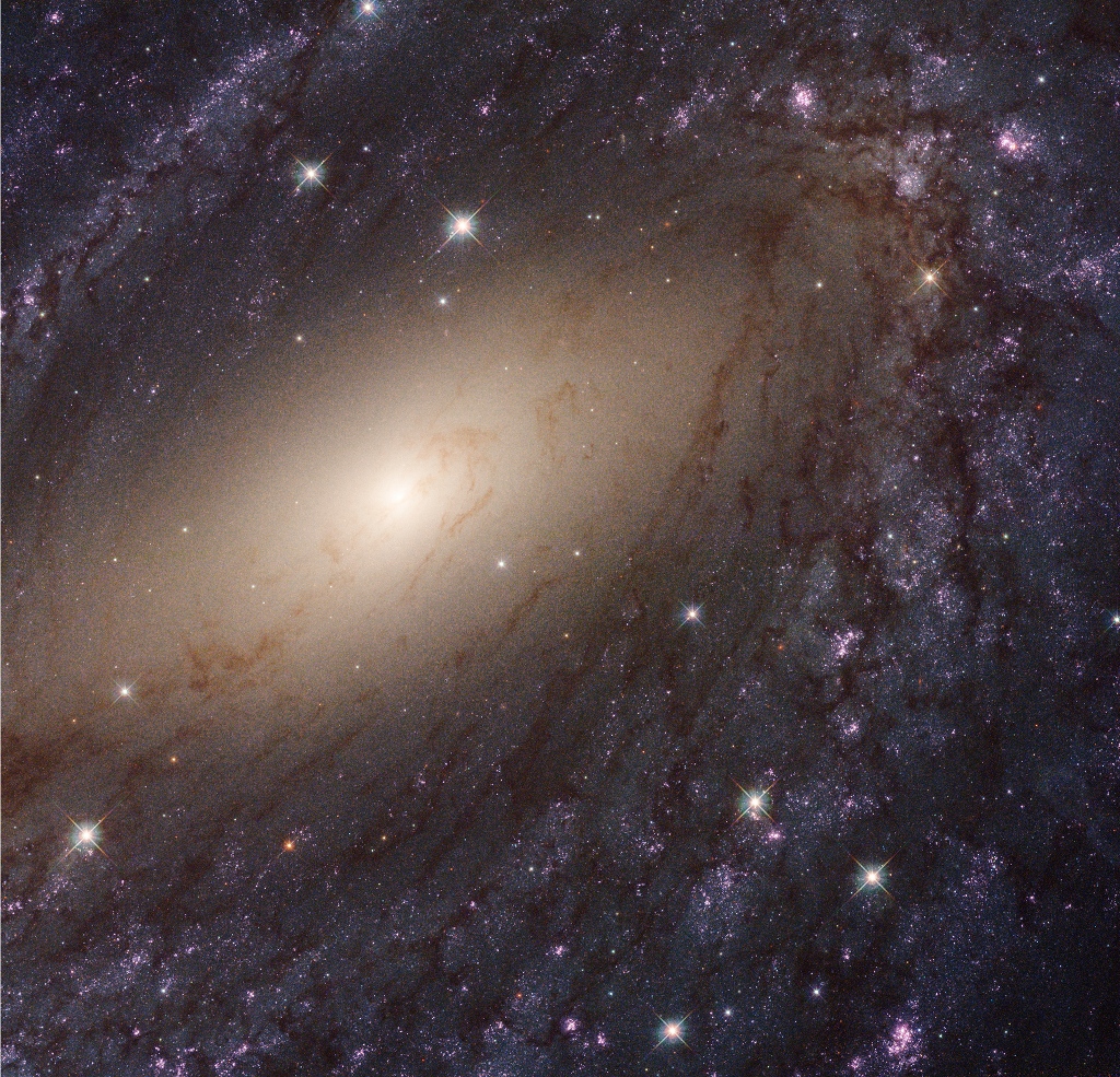 李珺：待审核-APOD20221125-STSCI-H-p1827h-NGC6744_1024x925.jpg