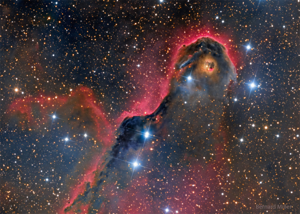 待译-APOD20221212-IC1396_Miller_960.jpg