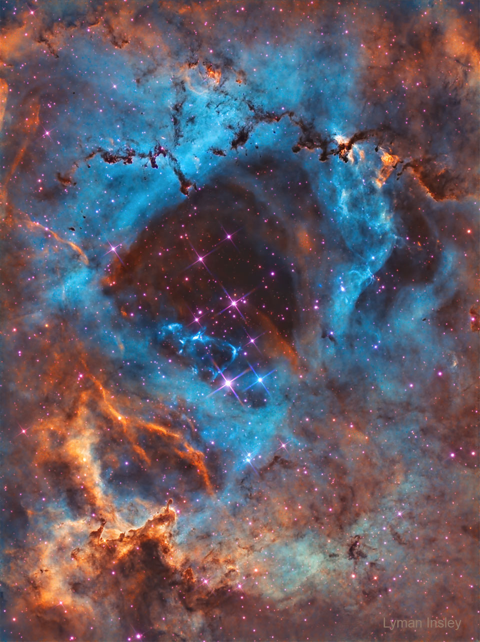 待译-APOD20230206-Rosette_Insley_960.jpg