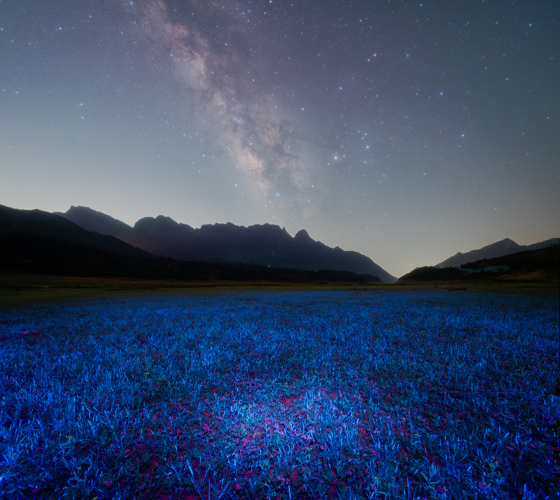 郑剑丰-阿凡达的潘多拉星空（长边1800像素）.jpg