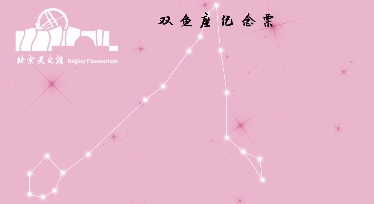 双鱼座正面.png