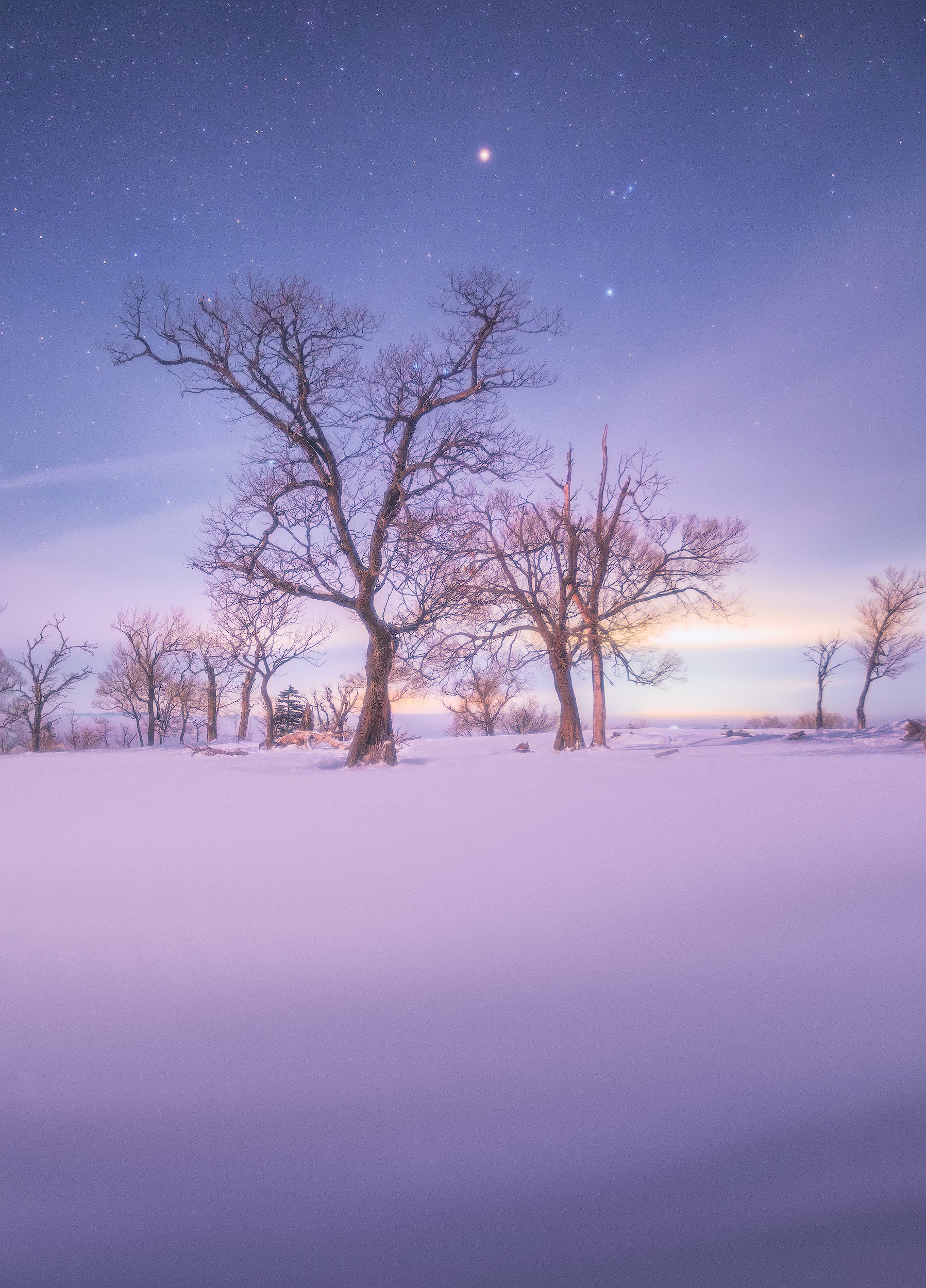 李硕-雪顶月夜（长边2500像素）.jpg