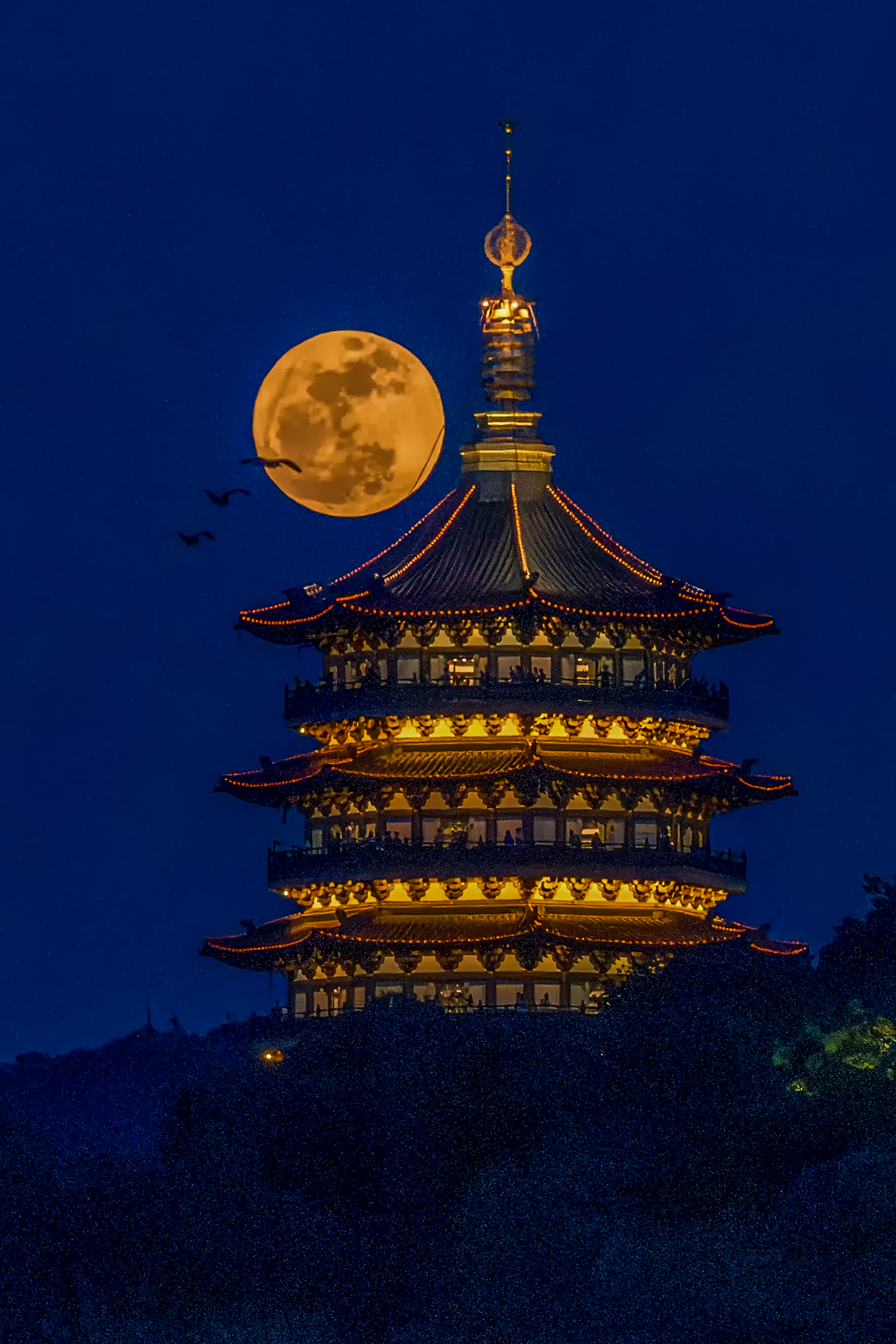 月与飞鸟的诗画之约.jpg